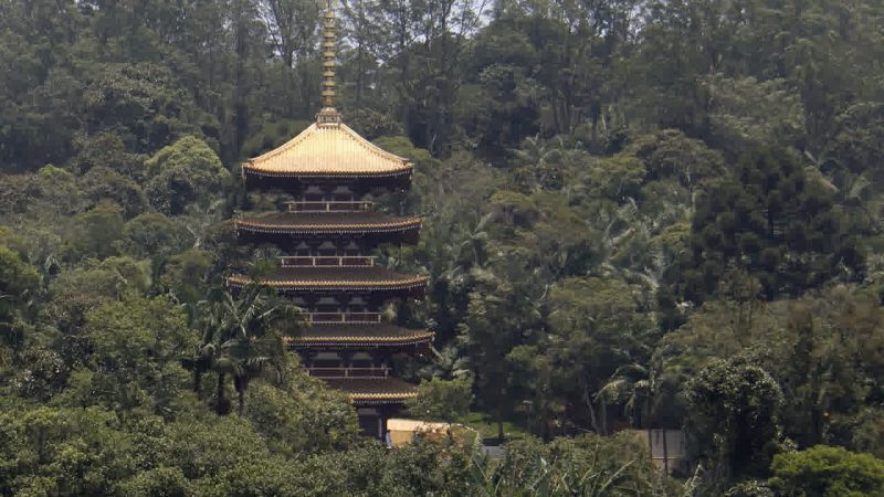 VOCÊ SABIA QUE A MAIOR TORRE JAPONESA DO BRASIL FICA EM RIBEIRÃO PIRES?