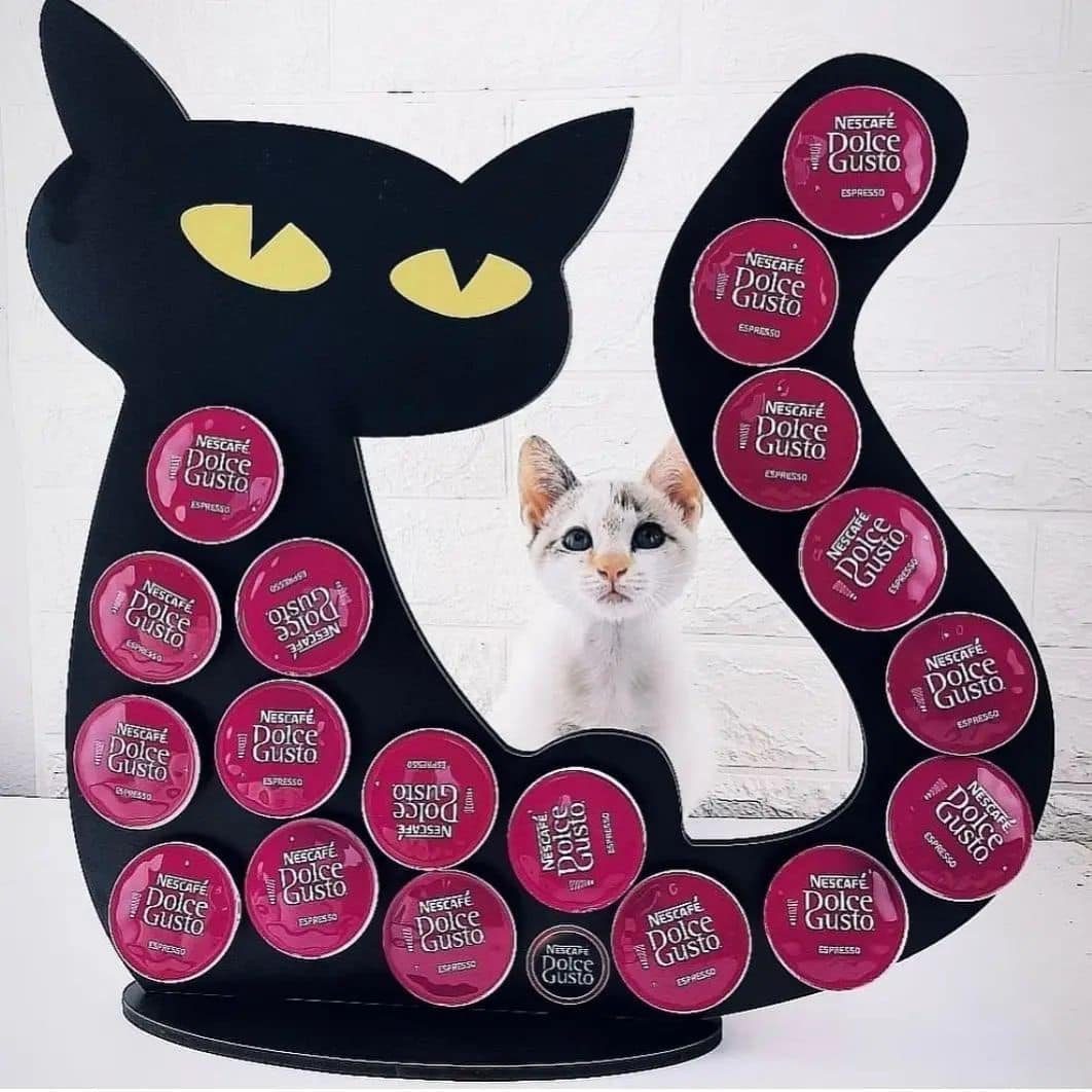Á CONHECE A LOJA TEMÁTICA PARA GATOS? É AQUI EM SÃO BERNARDO!