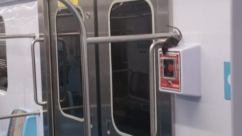 PASSAGEIRO REGISTRA RATO DENTRO DE TREM NA ESTAÇÃO UTINGA