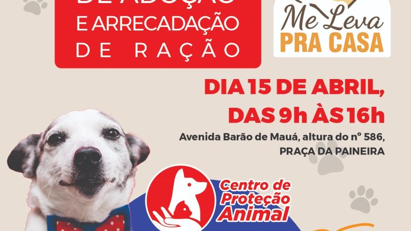 FIM DE SEMANA EM MAUÁ TEM FEIRA DE ADOÇÃO DE CÃES E GATOS