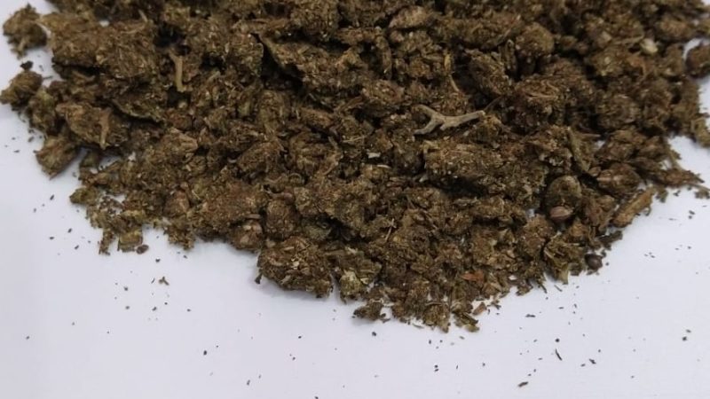 POLICIAIS PENAIS BARRAM TENTATIVAS DE ENTRADA DE DROGAS EM PRISÕES DO ABC