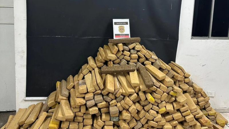 EM DIADEMA, POLÍCIA CIVIL APREENDE MAIS DE MEIA TONELADA DE MACONHA ESCONDIDA EM CARGA DE FRANGOS