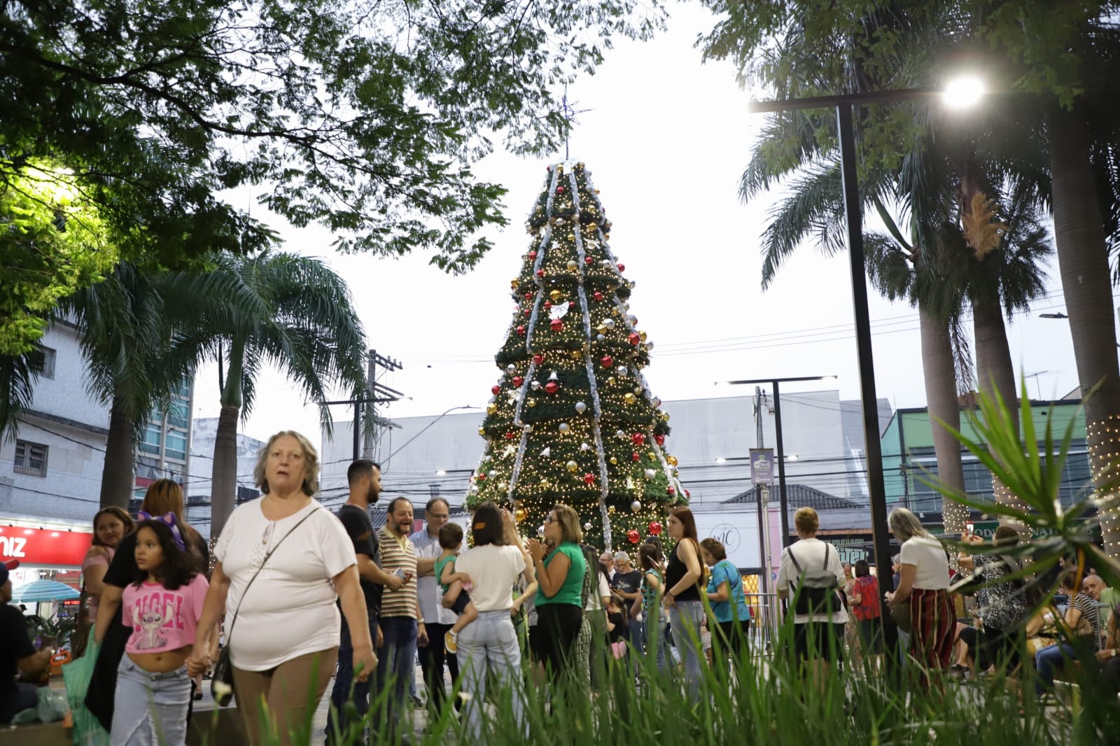 ÁRVORE DE NATAL ILUMINA PRAÇA CARDEAL ARCOVERDE EM SÃO CAETANO DO SUL
