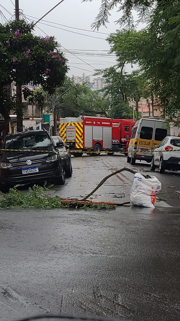 FORTE CHUVA PROVOCA ESTRAGOS NO ABCD