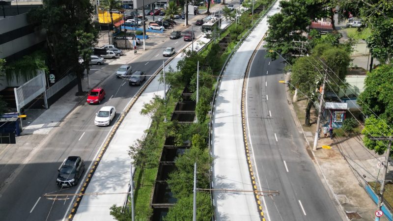 NEXT MOBILIDADE CONCLUI A REVITALIZAÇÃO DO CORREDOR ABD NA AV. RAMIRO COLLEONI, EM SANTO ANDRÉ