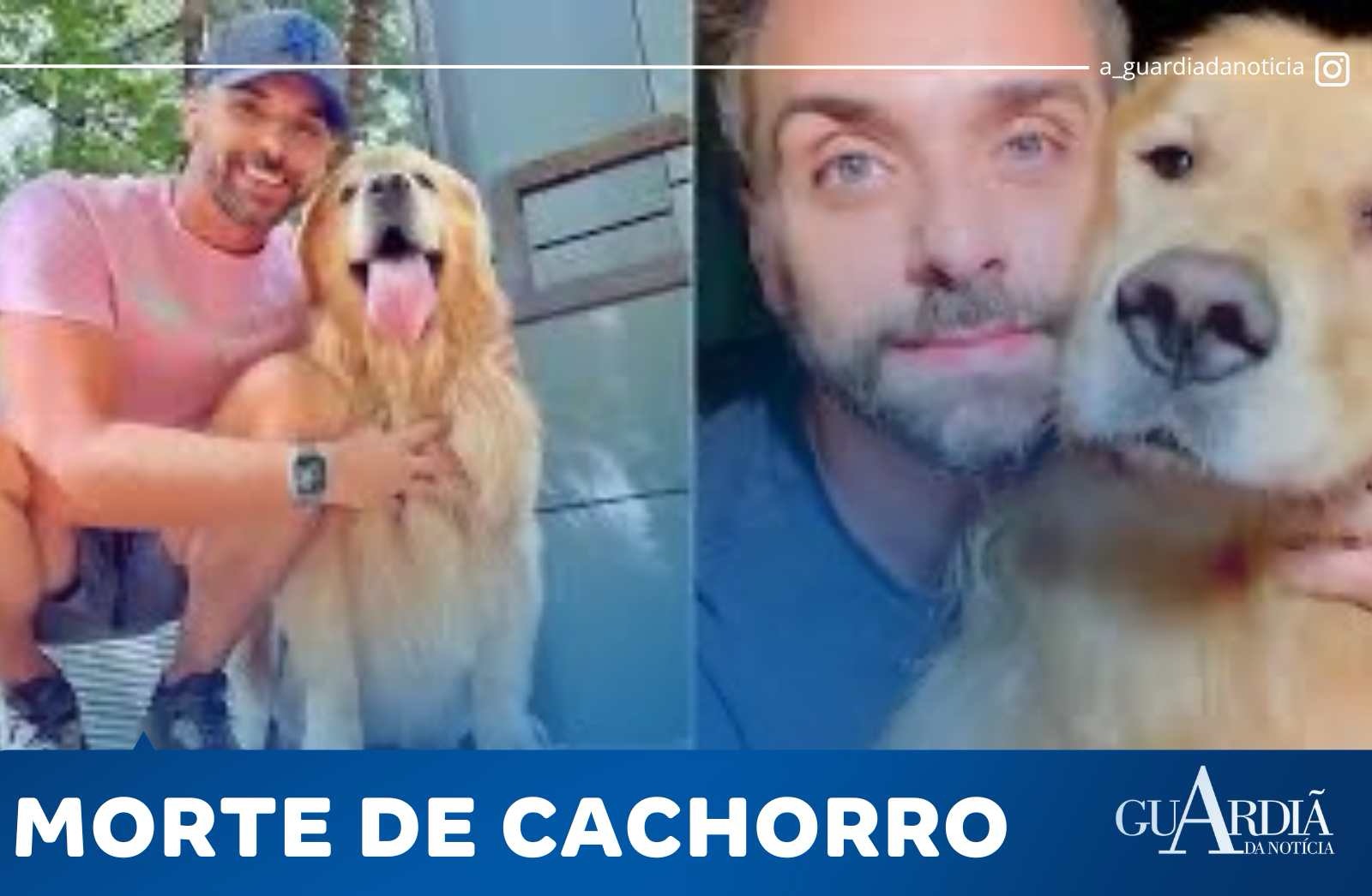 APÓS CÃO MORRER; GOL SUSPENDE TRANSPORTE DE PET NO PORÃO POR 30 DIAS