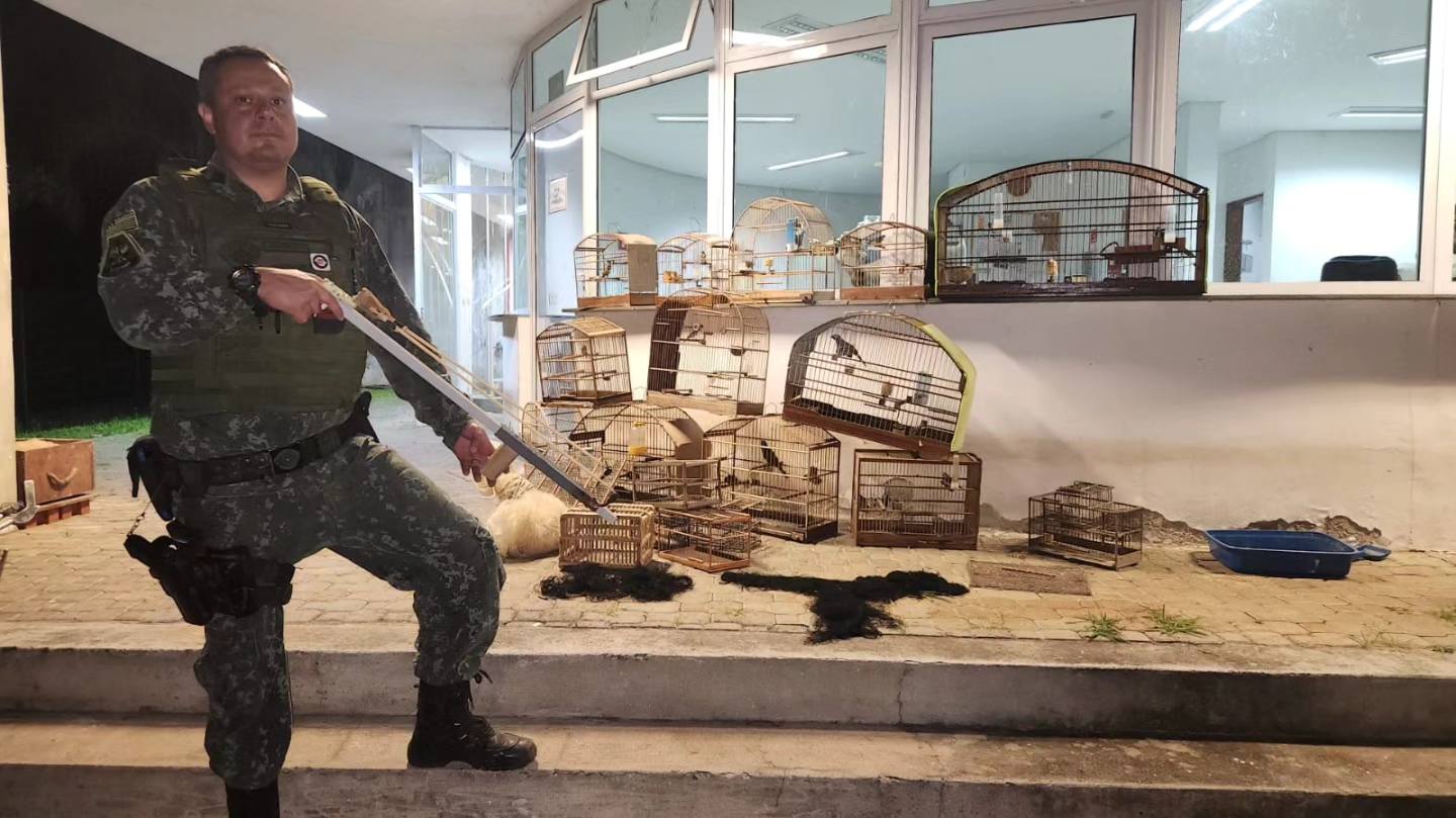 PM AMBIENTAL RESGATA 12 AVES SILVESTRES E APREENDE ARSENAL DE CAÇA EM BARRACÃO NA MARGEM DA BILLINGS