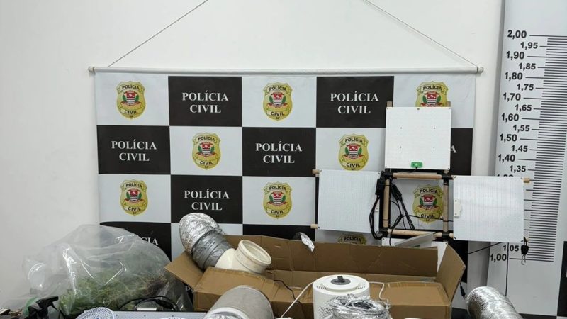 HOMEM É PRESO NO MONTANHÃO POR CULTIVO DE MACONHA EM ADEGA