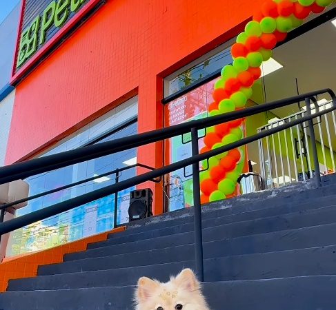 INAUGURAÇÃO DA PETLAND NO RUDGE RAMOS.