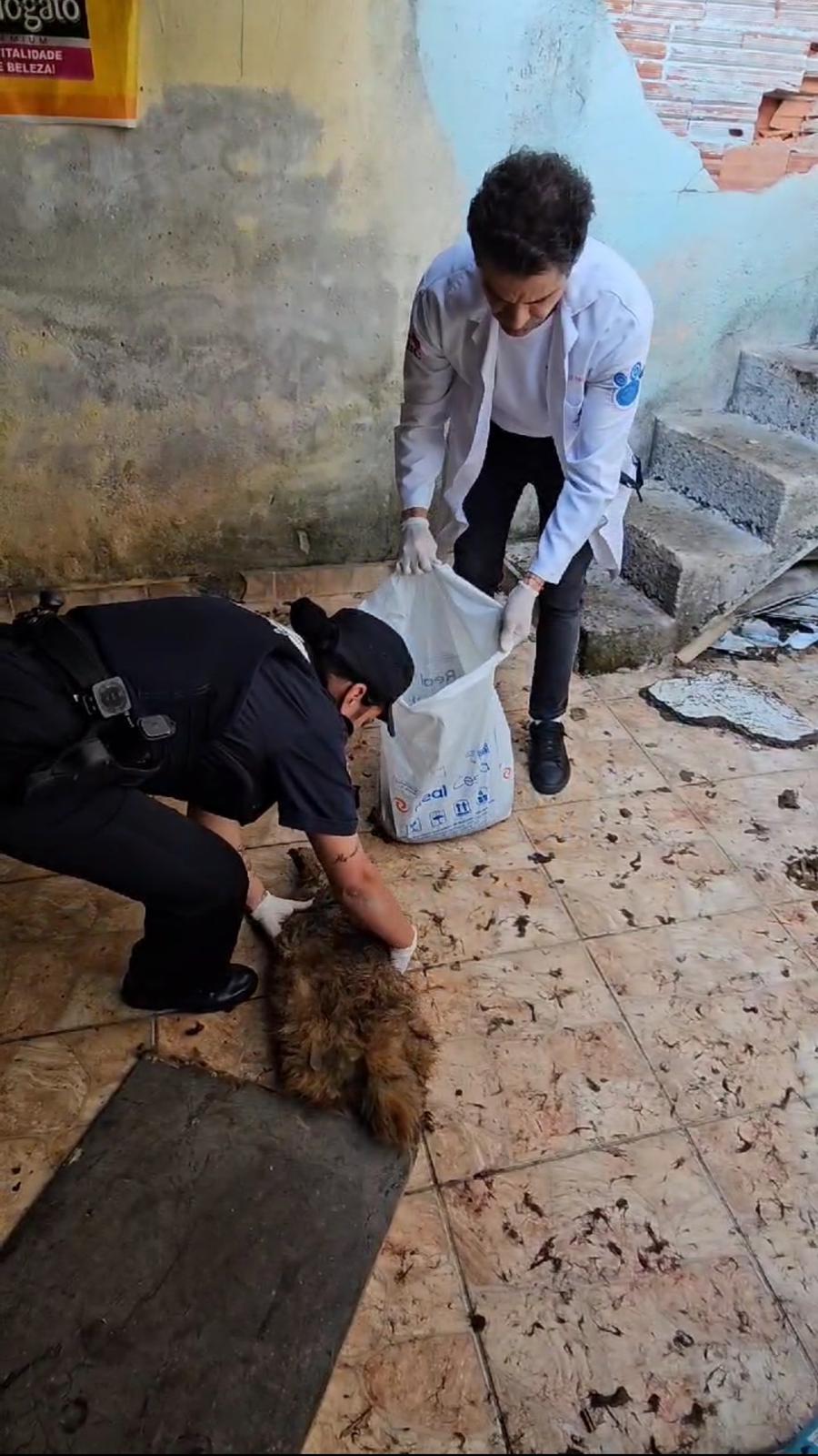 DENÚNCIA DE MAUS-TRATOS RESULTA EM RESGATE DE ANIMAIS EM CONDIÇÕES DEPLORÁVEIS NA VILA SÃO PEDRO