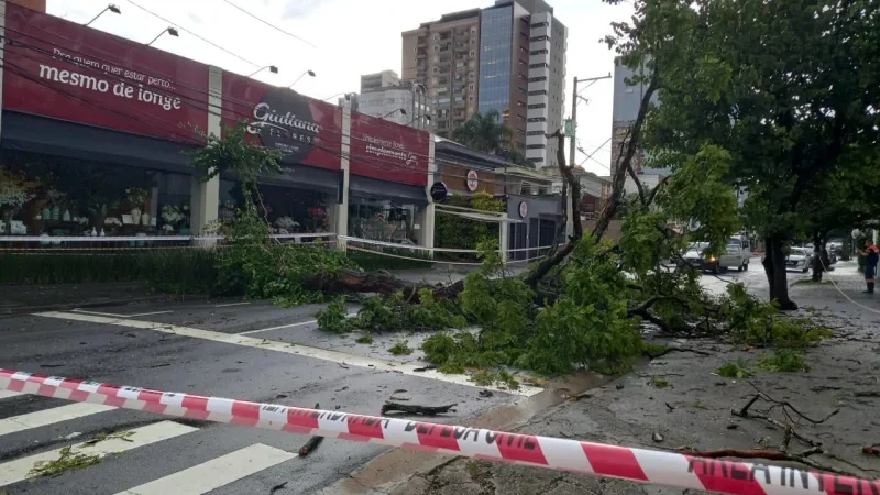TEMPORAL CAUSA ESTRAGOS NO ABCD, E SANTO ANDRÉ É A MAIS ATINGIDA