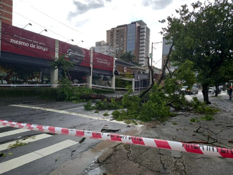 TEMPORAL CAUSA ESTRAGOS NO ABCD, E SANTO ANDRÉ É A MAIS ATINGIDA