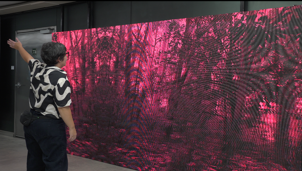 CINCO EXPOSIÇÕES PARA VISITAR EM SÃO PAULO DURANTE AS FÉRIAS
