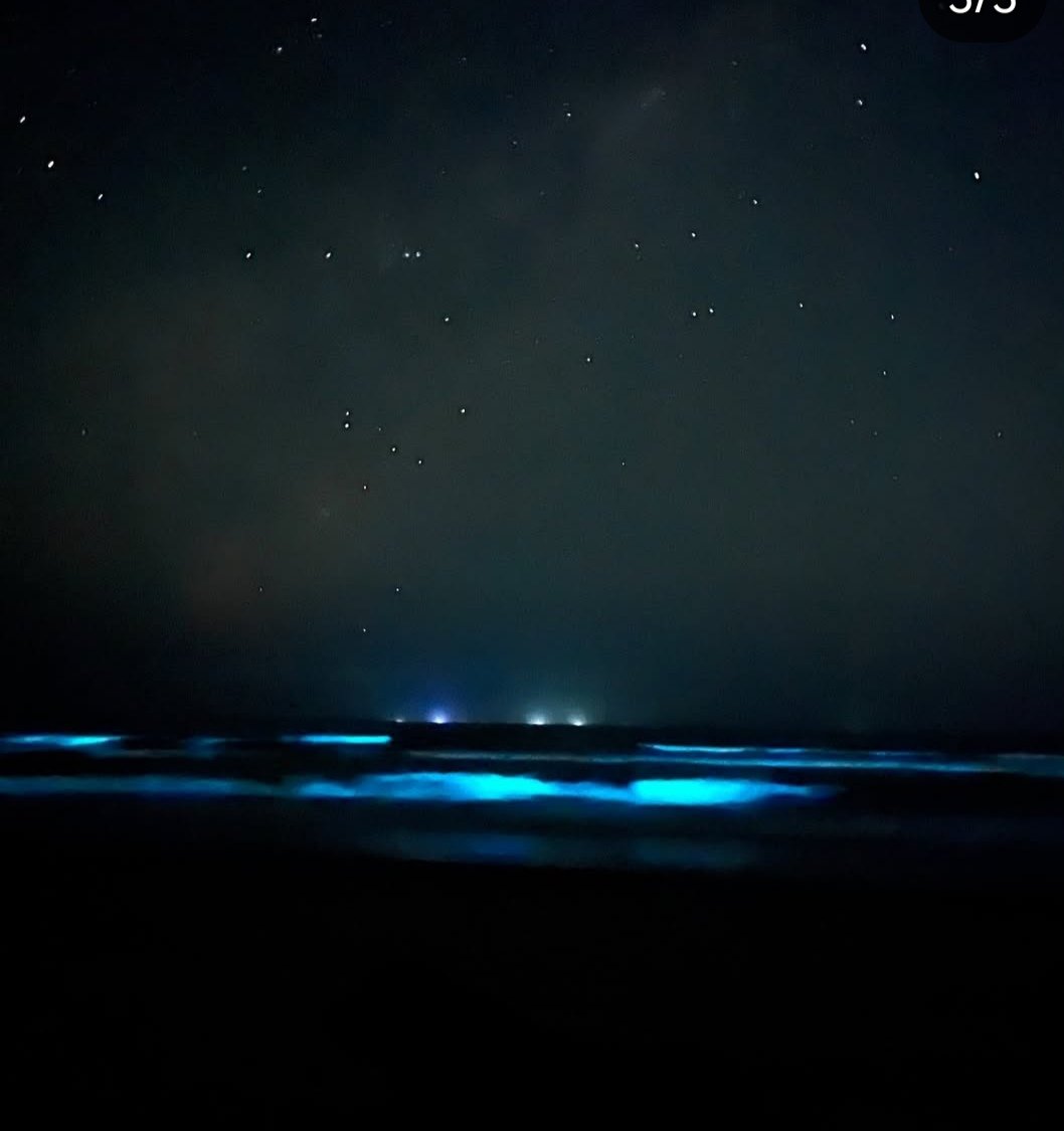 FENÔMENO DEIXA ONDAS DE UBATUBA FLUORESCENTES