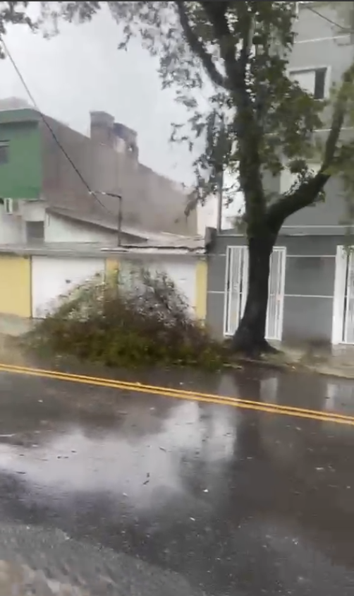 FORTE CHUVA ATINGE SANTO ANDRÉ NESTA SEGUNDA-FEIRA