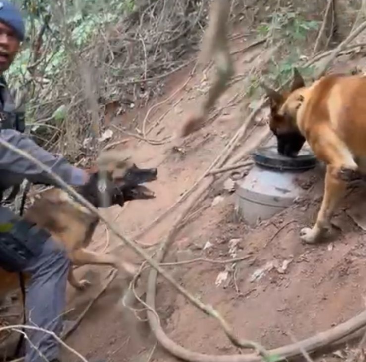 POLÍCIA MILITAR ENCONTRA ESCONDERIJO DE DROGAS EM MATA NI BAIRRO ANHANGABAÚ, JUNDIAÍ