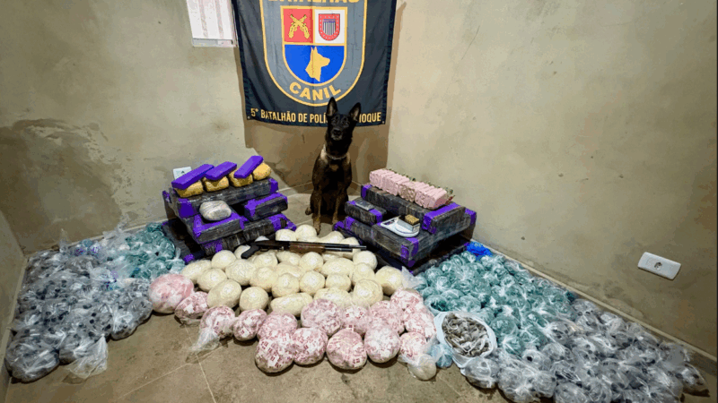 POLÍCIA MILITAR DESCOBRE “CASA BOMBA” COM MAIS DE 200 KG DE DROGAS NA ZONA OESTE DE SP