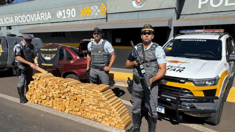 POLÍCIA MILITAR RODOVIÁRIA APREENDE 436 QUILOS DE MACONHA E DETÉM DOIS SUSPEITOS EM PRESIDENTE PRUDENTE