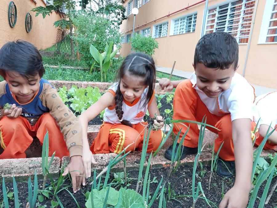 ALUNOS DE GUARAREMA APRENDEM COM HORTA ESCOLAR E PROJETO DE EMPREENDEDORISMO