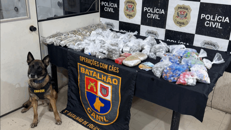 CÃES POLICIAIS DA PM DE SÃO PAULO PARTICIPAM DE MAIS DE 200 OPERAÇÕES EM SEIS MESES