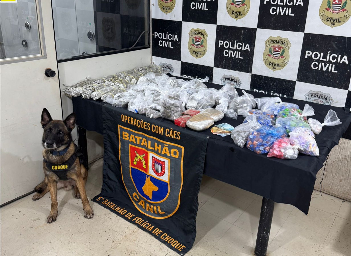 CÃES POLICIAIS DA PM DE SÃO PAULO PARTICIPAM DE MAIS DE 200 OPERAÇÕES EM SEIS MESES