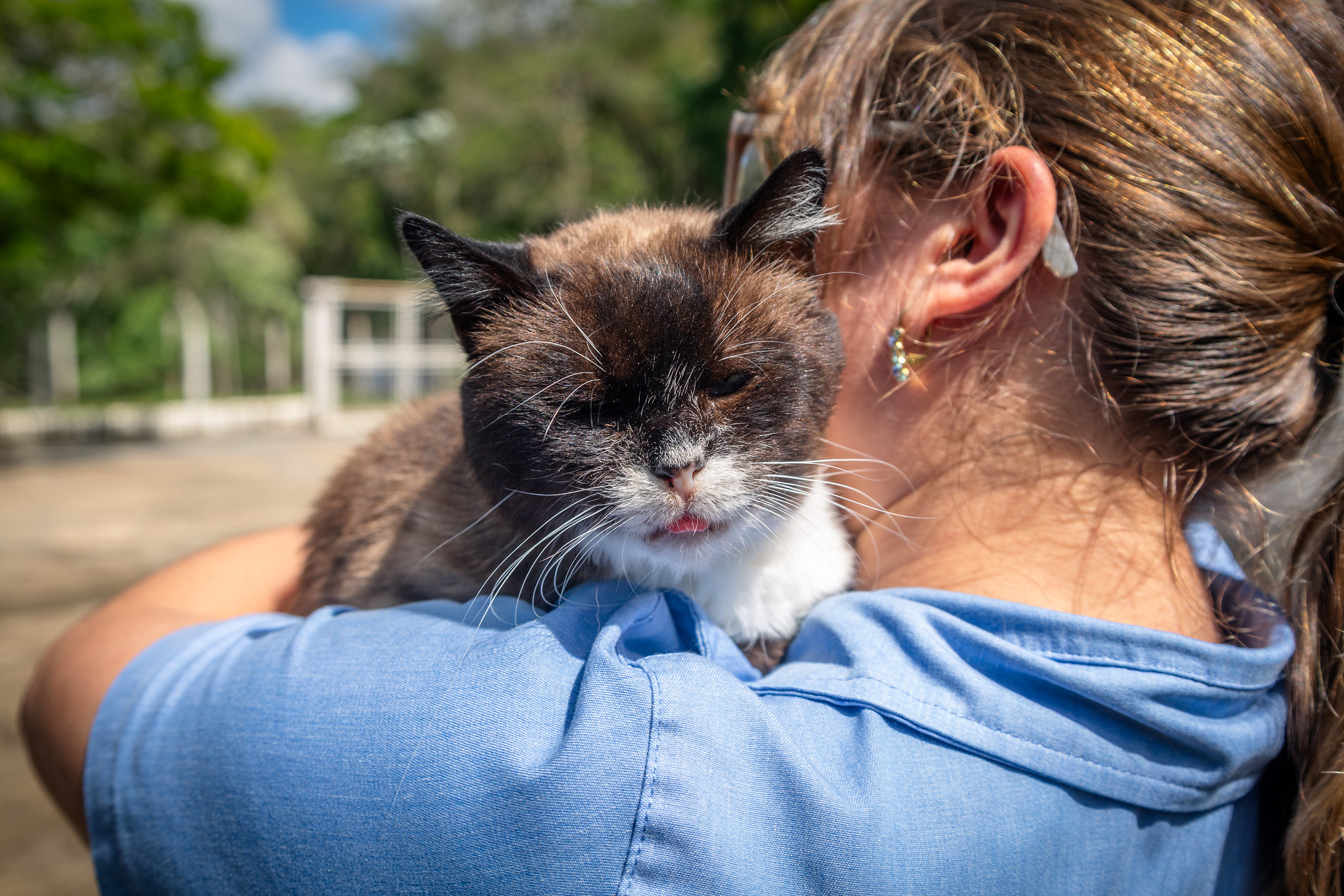 PREFEITURA DE GUARAREMA ORIENTA CUIDADOS COM CÃES E GATOS DURANTE O INVERNO
