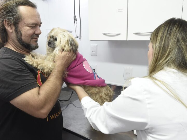 CLÍNICA PET MÓVEL DE GUARULHOS REALIZA PRIMEIROS ATENDIMENTOS E RECEBE APROVAÇÃO DE TUTORES