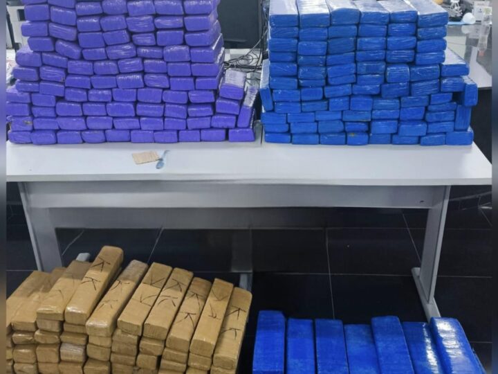 MOTORISTA É PRESO COM 261 QUILOS DE MACONHA APÓS TENTAR FUGIR DA PM NA CASTELLO BRANCO