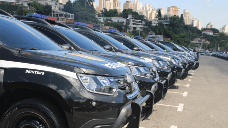 POLÍCIA CIVIL PRENDE 355 AUTORES DE CRIMES CONTRA MULHERES EM OPERAÇÃO NO ESTADO DE SÃO PAULO