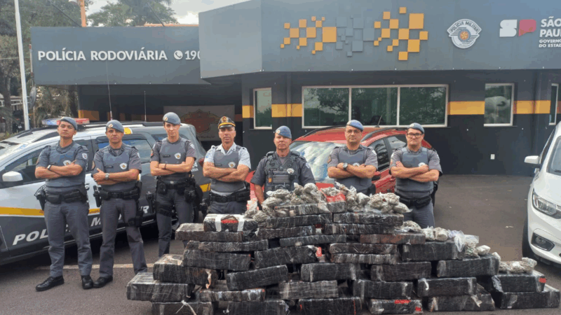 POLÍCIA MILITAR RODOVIÁRIA APREENDE MEIA TONELADA DE MACONHA NO INTERIOR DE SP