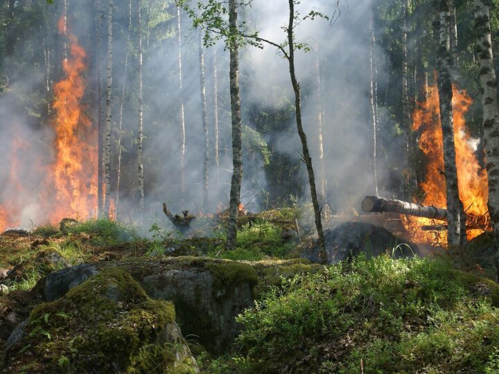 GUARAREMA INTENSIFICA CAMPANHA CONTRA QUEIMADAS E ALERTA PARA RISCOS DURANTE O PERÍODO DE ESTIAGEM
