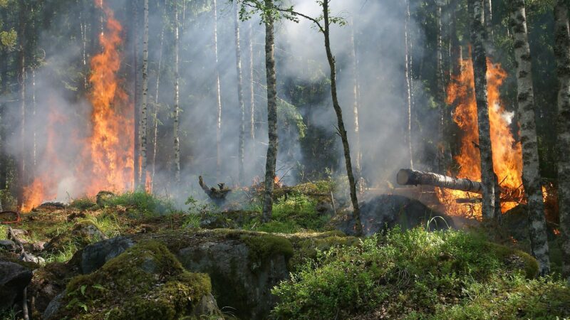 GUARAREMA INTENSIFICA CAMPANHA CONTRA QUEIMADAS E ALERTA PARA RISCOS DURANTE O PERÍODO DE ESTIAGEM