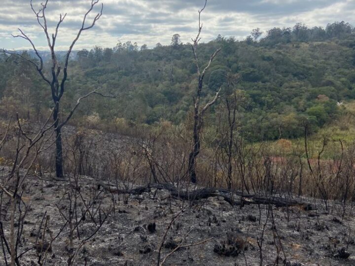 INCÊNDIO CRIMINOSO ATINGE 35 MIL M² NO ENTORNO DO PARQUE ESTADUAL DO JUQUERY