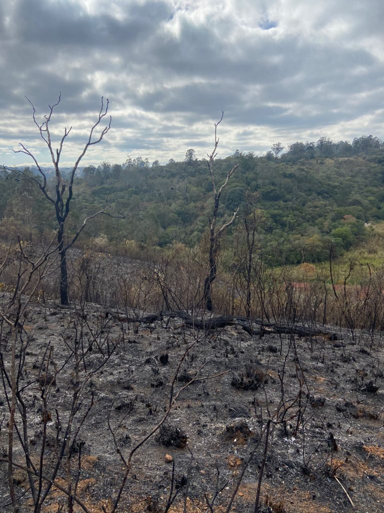 INCÊNDIO CRIMINOSO ATINGE 35 MIL M² NO ENTORNO DO PARQUE ESTADUAL DO JUQUERY