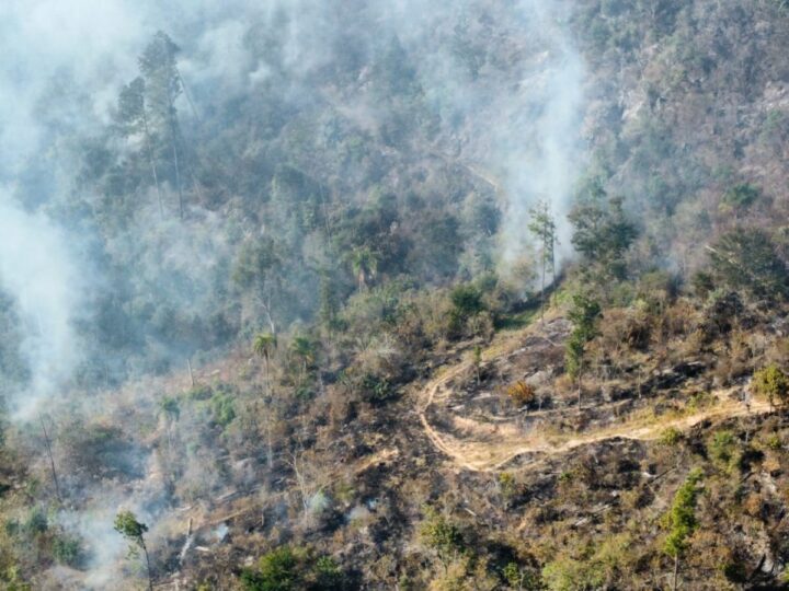 DEFESA CIVIL ATUA EM OCORRÊNCIAS DE INCÊNDIOS FLORESTAIS EM DIVERSAS REGIÕES DO ESTADO