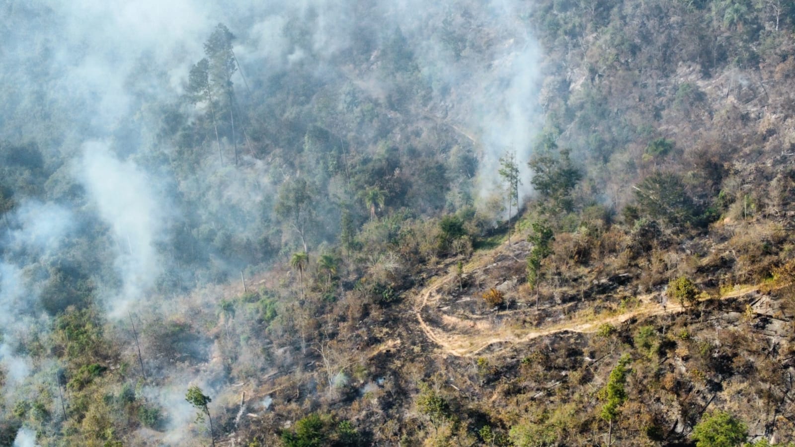 DEFESA CIVIL ATUA EM OCORRÊNCIAS DE INCÊNDIOS FLORESTAIS EM DIVERSAS REGIÕES DO ESTADO