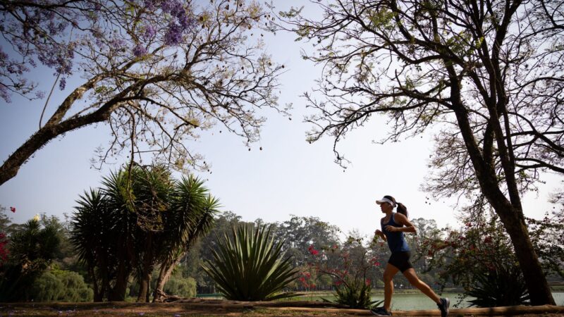 TEMPO SECO E TEMPERATURAS ELEVADAS MARCAM A TERÇA-FEIRA (16) EM SÃO PAULO
