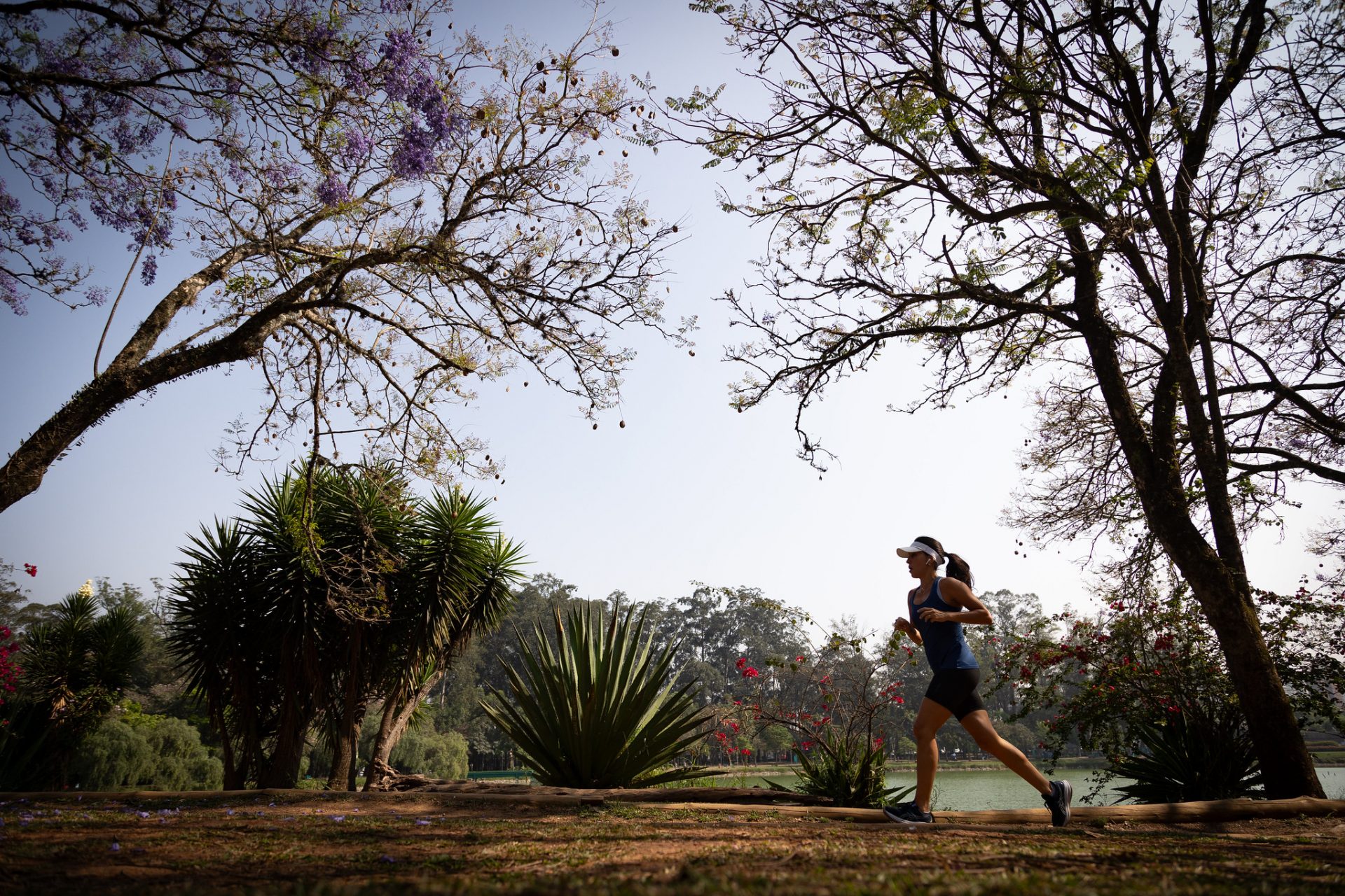 TEMPO SECO E TEMPERATURAS ELEVADAS MARCAM A TERÇA-FEIRA (16) EM SÃO PAULO