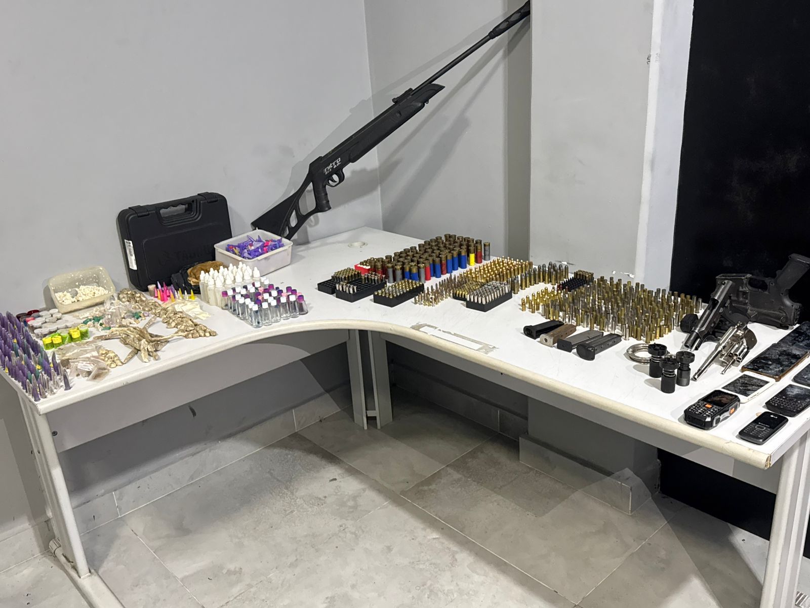 POLÍCIA MILITAR APREENDE ARMAS, DROGAS E RESGATA ARARAS EM IMÓVEL NO GRAJAÚ