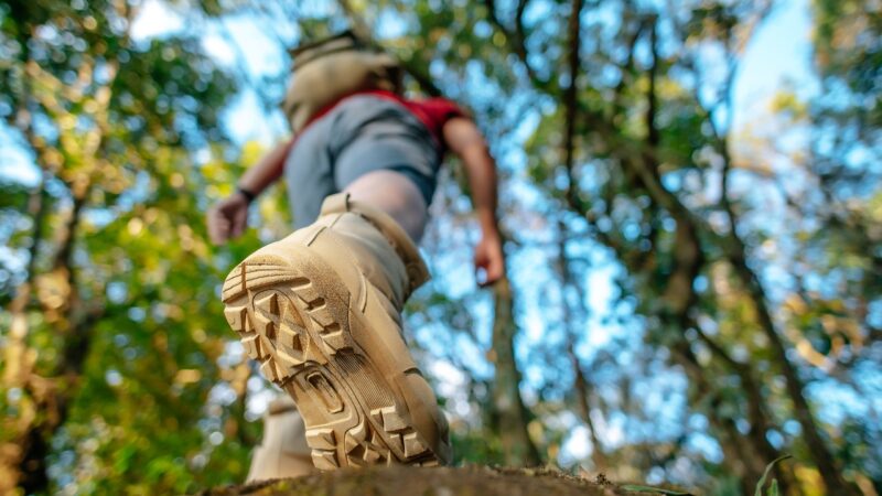 CARAGUATATUBA RECEBE O 22º CONGRESSO BRASILEIRO DE ECOTURISMO E TURISMO DE AVENTURA