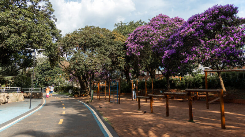 FESTIVAL DA PRIMAVERA E DAS FLORES LEVA CORES E SABORES AO PARQUE SALVADOR ARENA