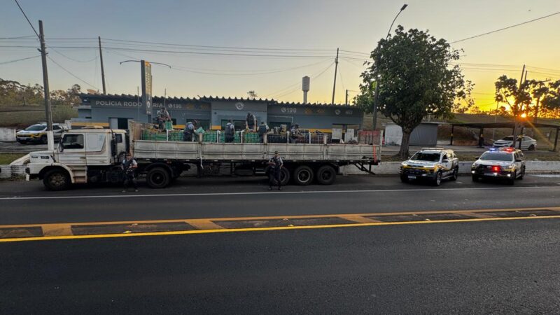 POLÍCIA INTERCEPTA CAMINHÃO COM QUASE OITO TONELADAS DE MACONHA NO INTERIOR DE SP