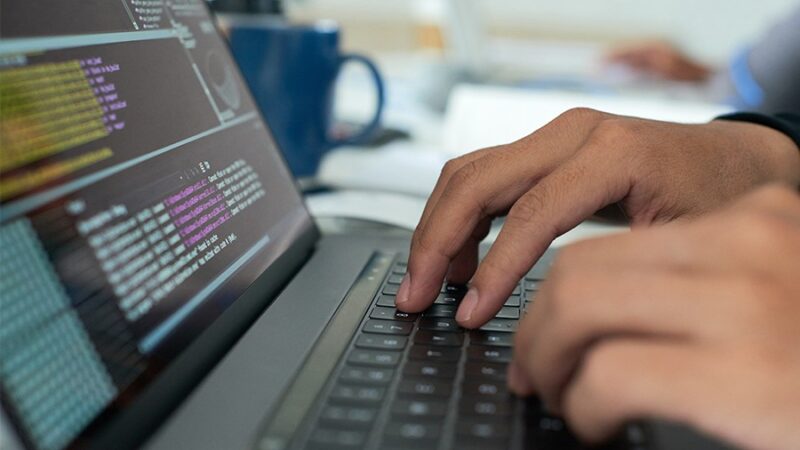 GOVERNO DE SP OFERECE CURSOS GRATUITOS PARA QUEM QUER EMPREENDER