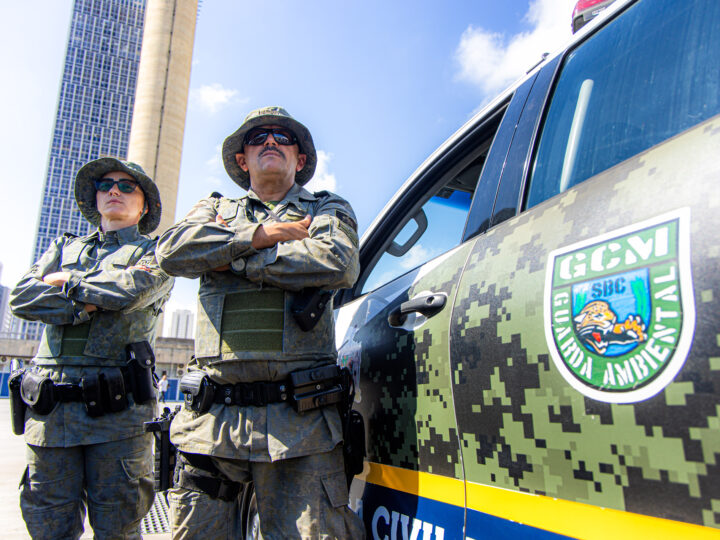 GCM AMBIENTAL DE SÃO BERNARDO RESGATA LAGARTO TEIÚ E SERPENTE CANINANA EM DUAS AÇÕES