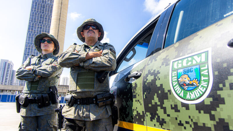 GCM AMBIENTAL DE SÃO BERNARDO RESGATA LAGARTO TEIÚ E SERPENTE CANINANA EM DUAS AÇÕES