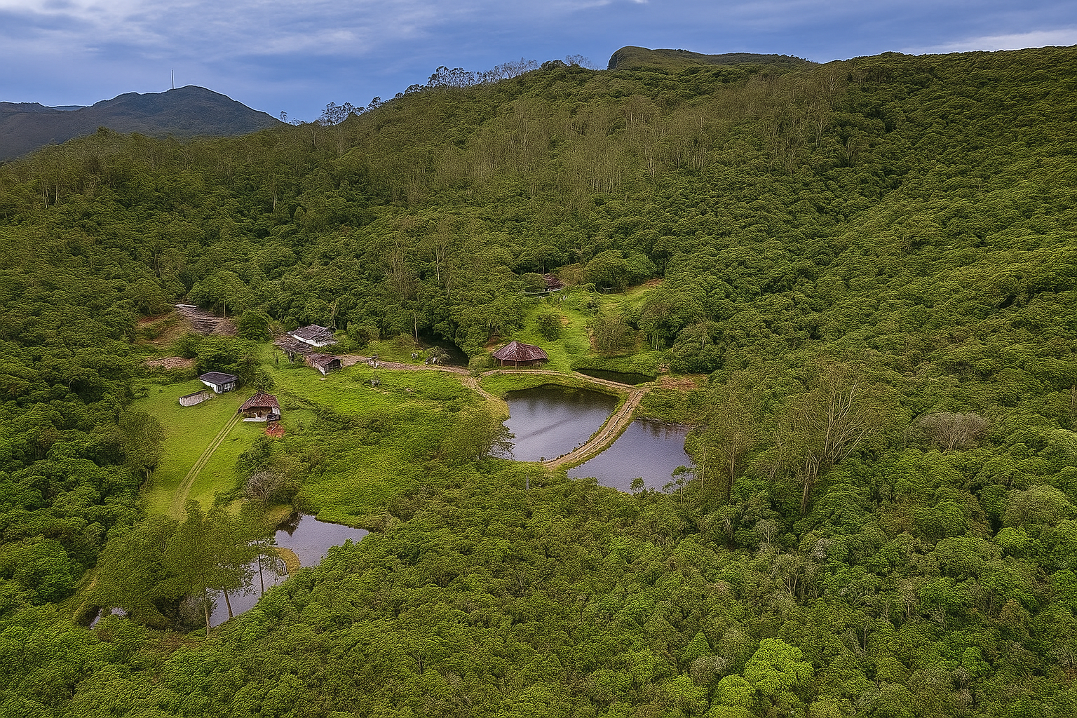 INOVAÇÃO NA MATA ATLÂNTICA: BIRITIBA MIRIM SERÁ SEDE DE PROJETO PIONEIRO COM ROBÔ PARA COLHEITA DE AÇAÍ JUÇARA