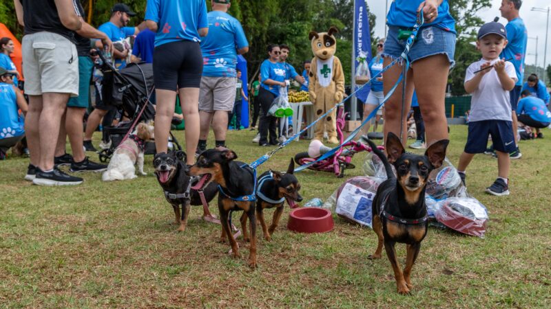 GUARAREMA REALIZA A 3ª CÃOMINHADA COM FOCO EM BEM-ESTAR ANIMAL E DOAÇÃO DE RAÇÃO