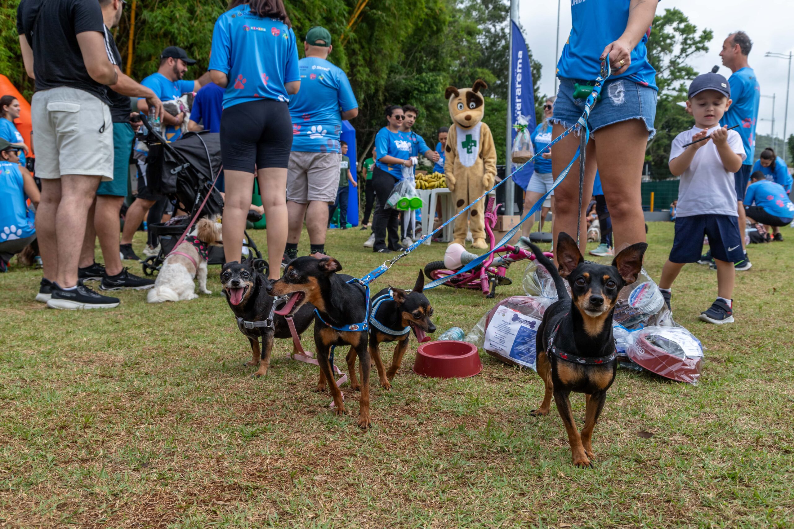 GUARAREMA REALIZA A 3ª CÃOMINHADA COM FOCO EM BEM-ESTAR ANIMAL E DOAÇÃO DE RAÇÃO