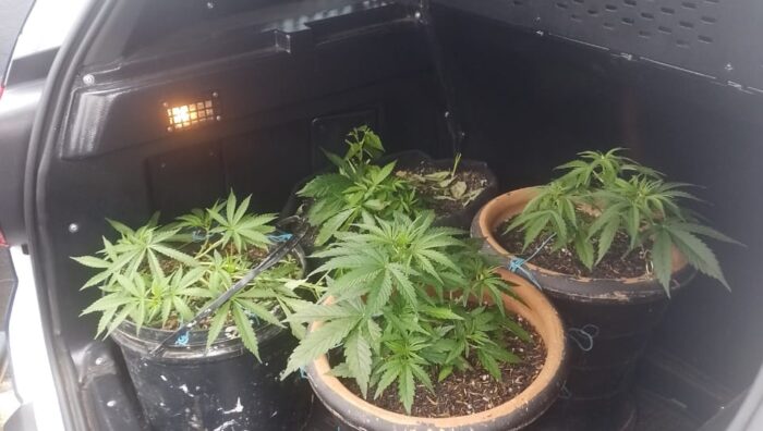 ROMU DE SUZANO DESMANTELA “CASA BOMBA” DO TRÁFICO E APREENDE QUASE 6 QUILOS DE DROGAS