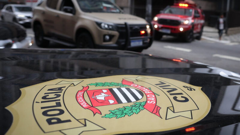 OPERAÇÃO SENTINELA DE AÇO: POLÍCIA CIVIL DE SÃO PAULO PRENDE AGRESSORES SEXUAIS DE VULNERÁVEIS